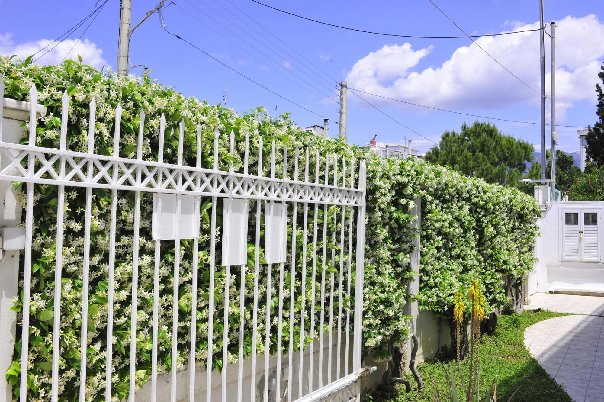 Peloponeese Corinthos Seaside Villa For Short Rent Exterior foto